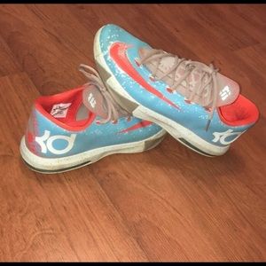 KD Maryland Blue Crab size 13
